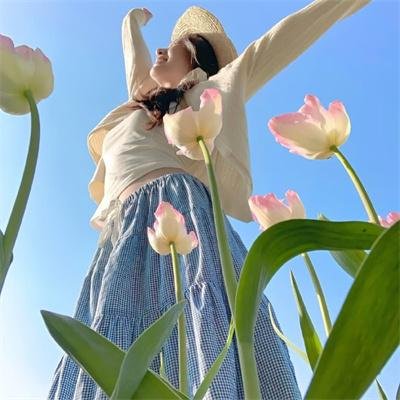 午夜凶铃3：贞相大白