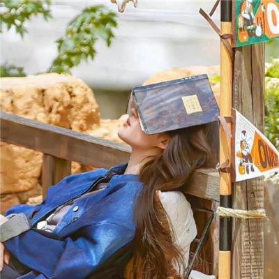 小查与寇弟的顶级冒险